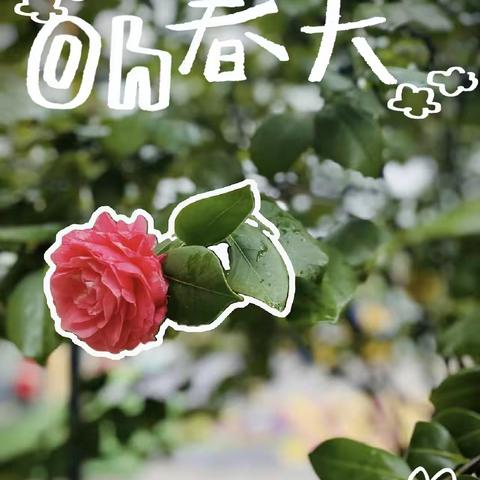 又是一年春来到