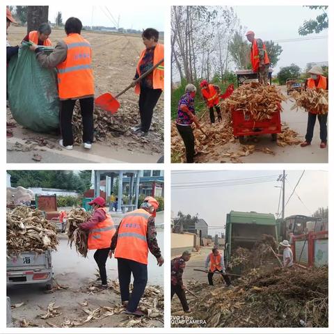 【崇峰环卫】常村镇 秋后清理秸秆 助力人居环境。