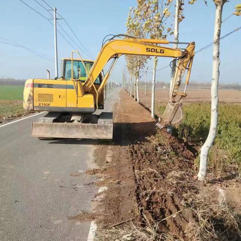 “🌸我的公路我养护！”成安农民成为农村公路🌻“新主人”