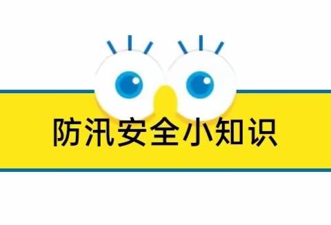 河东店镇中心小学教育集团周寨小学分校关于防雷电防暴雨安全知识宣传教育
