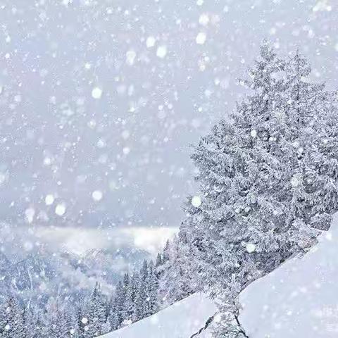 冬爷爷❄️来啦！