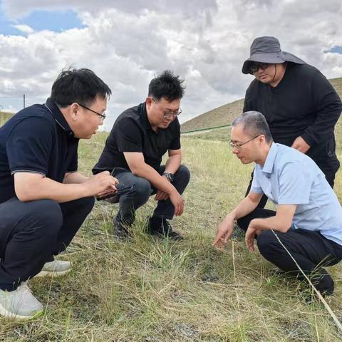 定边：局校合作 联学共建 话科技小院持续发展