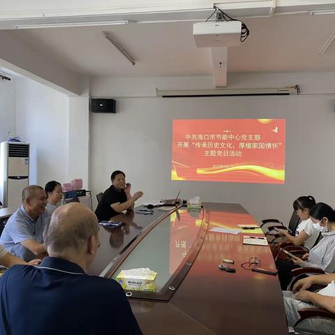 海口市节能中心支部开展“传承历史文化，厚植家国情怀”主题党日活动