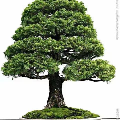 深圳笋岗店3月23号前厅开市及检查