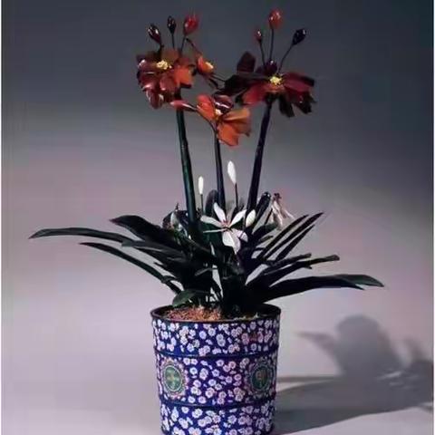 深圳笋岗店3月23号前厅收市及检查