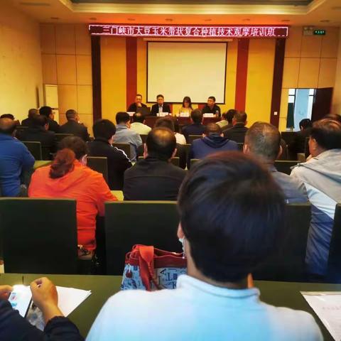 大豆玉米带状复合种植技术观摩培训会在灵宝召开