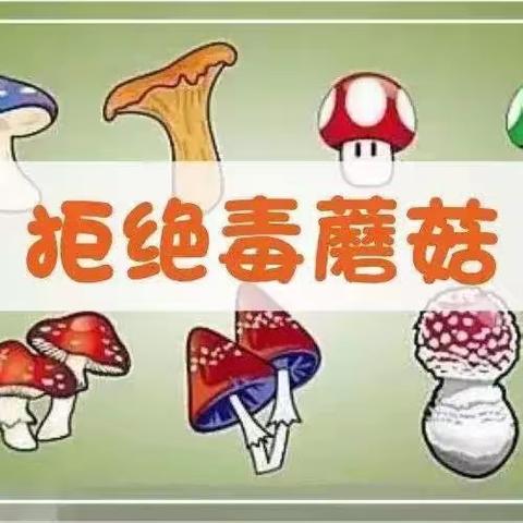 早稻田幼儿园👫【大手牵小手•拒绝毒蘑菇🍄】安全教育