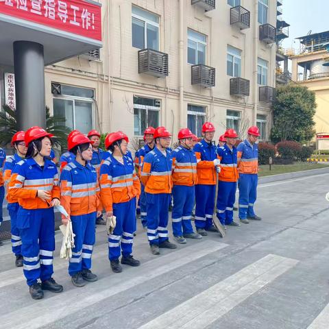 “向下扎根，向上生长”地维公司开展2025年植树节活动