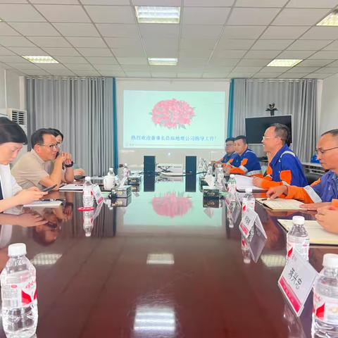 公司领导刘凤山莅临地维公司调研指导强调降本增效与市场突破
