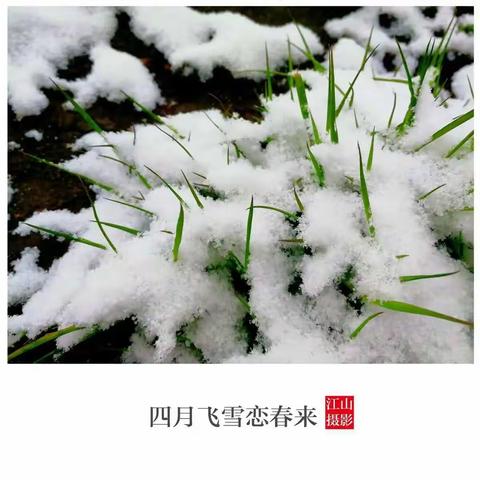 四月迎飞雪，课后欢乐多