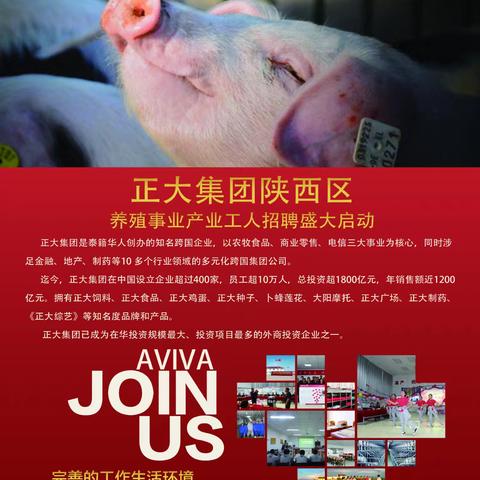 淳化县2025年退役军人、军属线上招聘