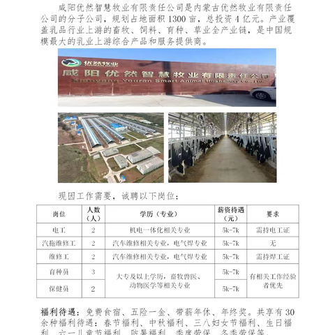 淳化TYJR就业招聘信息推荐