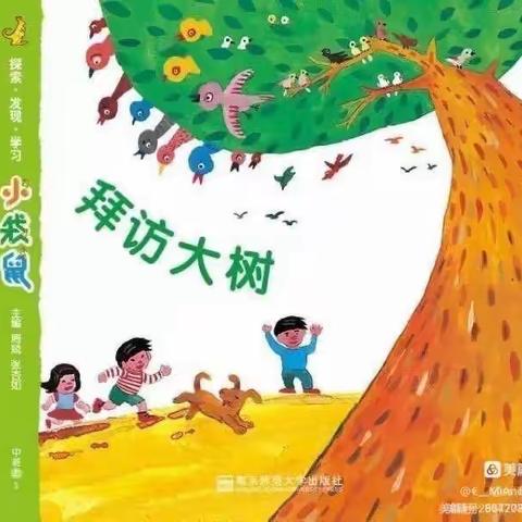 社区金童幼儿园中1班11月份《拜访大树》主题美篇