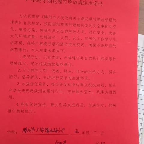 禁放烟花爆竹，共守碧水蓝天——大坞镇和福小学举行禁燃禁放烟花爆竹宣传活动