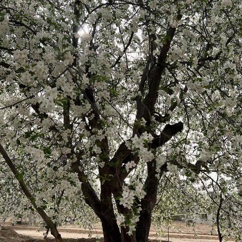 永远在路上才是一生不改的风景