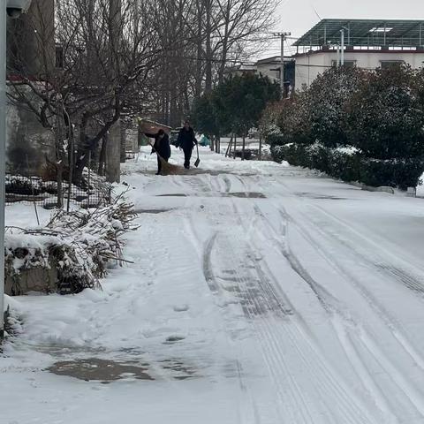 椹涧乡方庄村：干群齐上阵，清雪保畅通