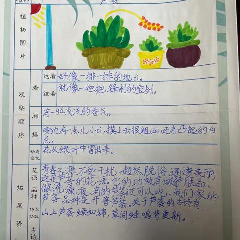 探索春天美景 感受植物魅力 ——博才阳光实验小学三年级“制作植物记录卡”语文学科活动