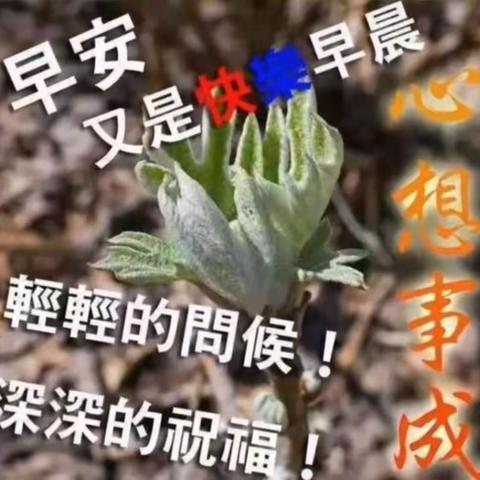 真诚的文章