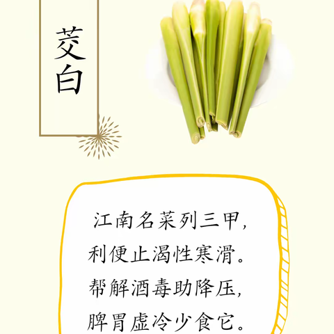 养生中医文化