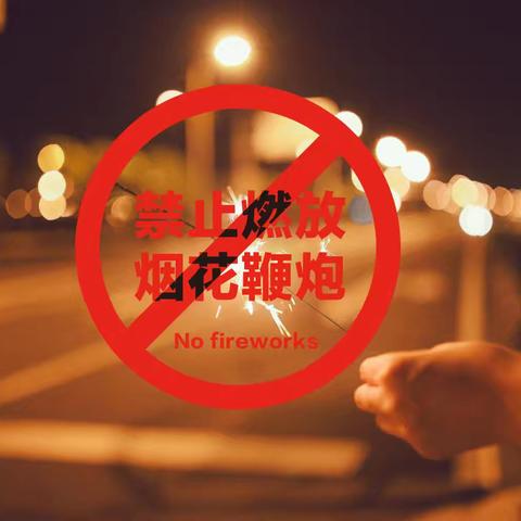 大陆村中心小学 关于遵守烟花爆竹禁放规定的倡议书