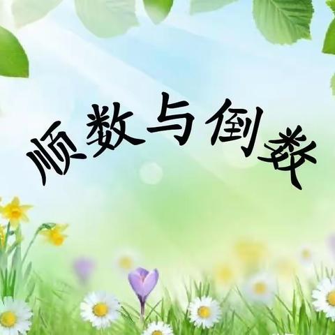 中班数学：《顺数和倒数》