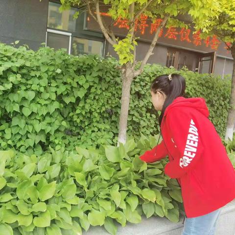 健康路街道乐强社区开展“禁种铲毒正当时 宣传踏查筑防线”禁毒行动