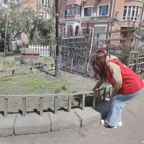 党建引领优环境 破题整治 “小开荒”|健康路街道开展“小开荒”专项环境整治行动