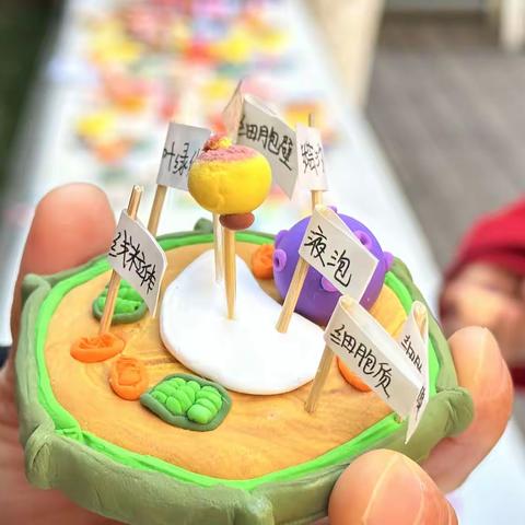 巧手“生”趣，有“模”有样 ------呼家庄中学生物学科素养活动