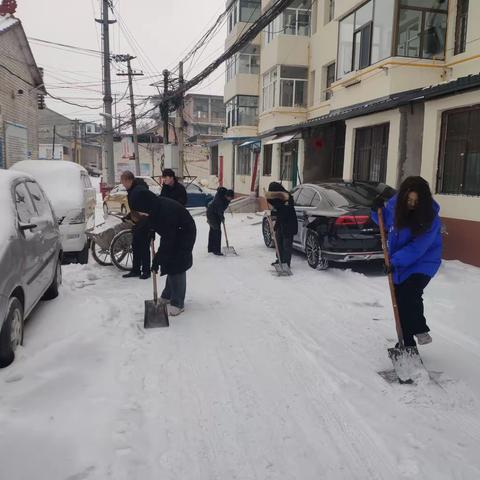 扫雪护行---网格员在行动