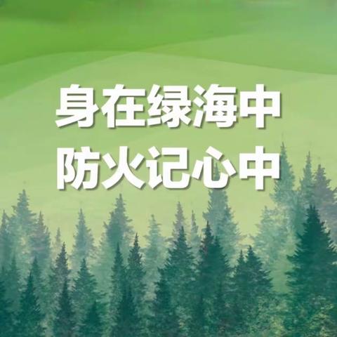 护林防火不松懈 多措并举保平安