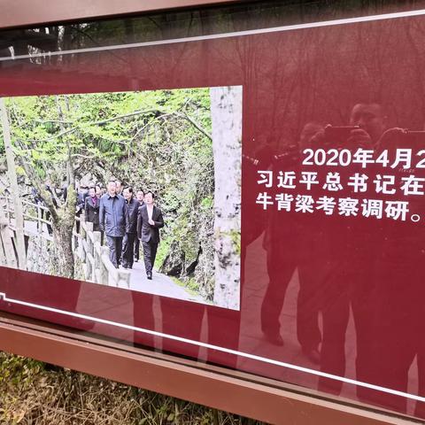 【牢记嘱托 忠诚担当】