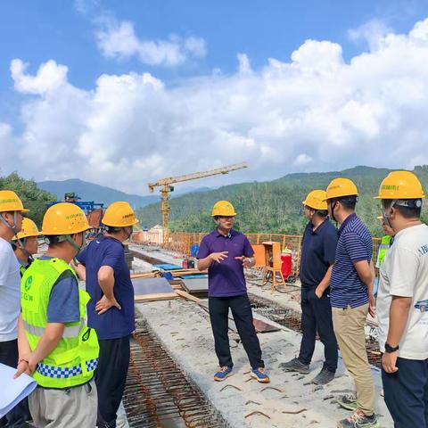 公司党委书记、执行董事李仕宏到勐关项目调研指导工作