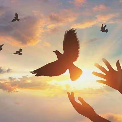 期中总结鼓干劲，勤奋努力创佳绩