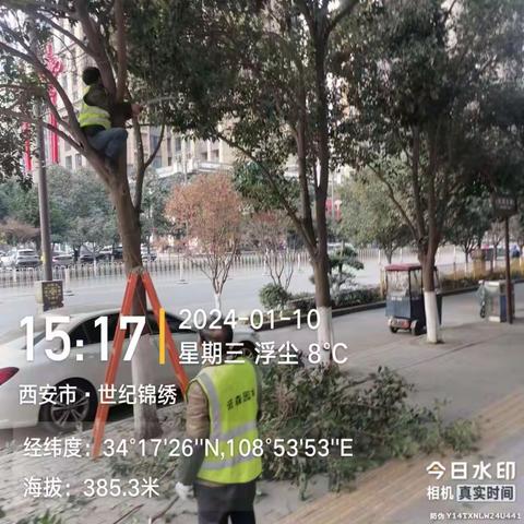 莲湖区城管局12345市民热线1月份优秀工单（五）