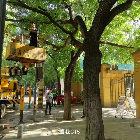 莲湖区城管局12345市民热线6月份优秀工单（四）