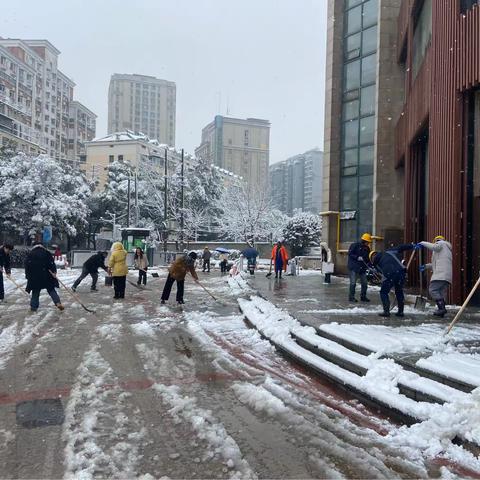 以雪为令——蓝海商管公司全力应对低温雨雪冰冻天气