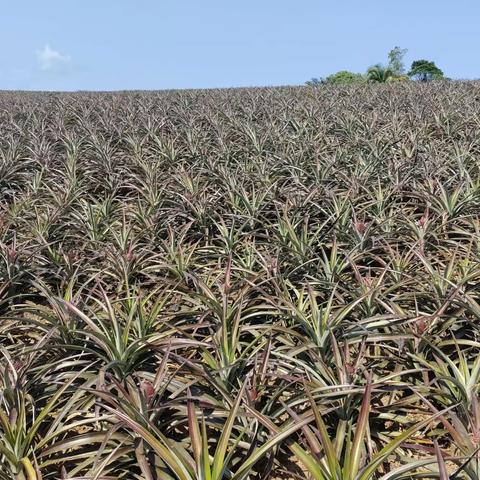 弦歌不辍育桃李，砥砺前行绽风采