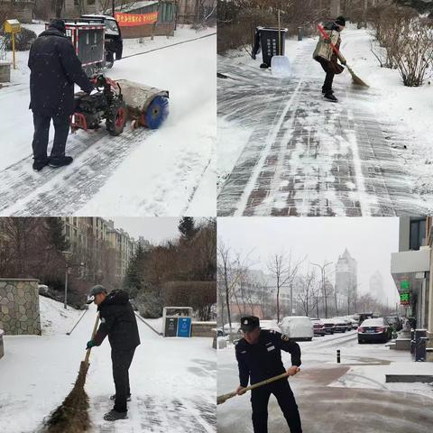 工农街道金河社区：清雪除冰暖寒冬 以“动”制“冻”保出行