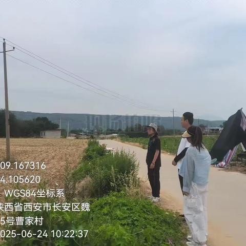 魏寨街道治污减霾工作日报 （2025.6.24）
