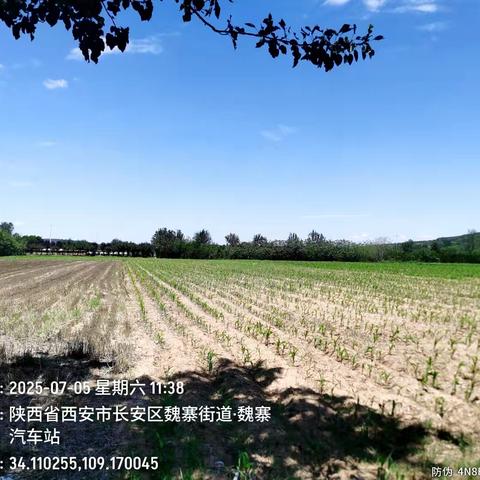 魏寨街道治污减霾工作日报