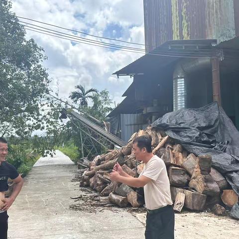 定安县农科中心下沉乡镇开展抗灾救灾工作