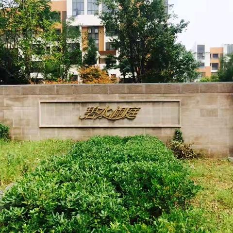 党建引领聚合力 共建共治解民忧