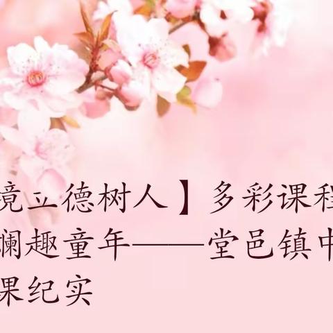 【全环境立德树人】百花齐放香满园，自主选课润心田——堂邑镇中心小学自主选课纪实