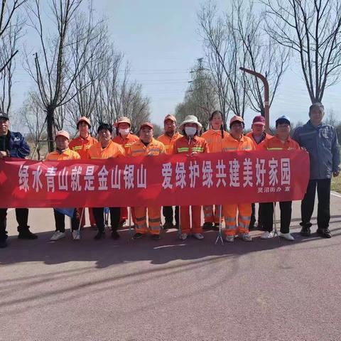 绿水青山就是金山银山 爱绿护绿共建美好家园 ——灵沼街道开展3·12植树节系列活动