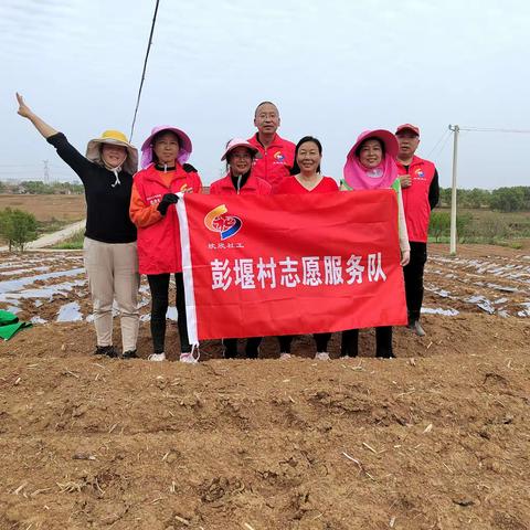 【沈集社工站】特殊群体专项帮扶 志愿服务深入田间