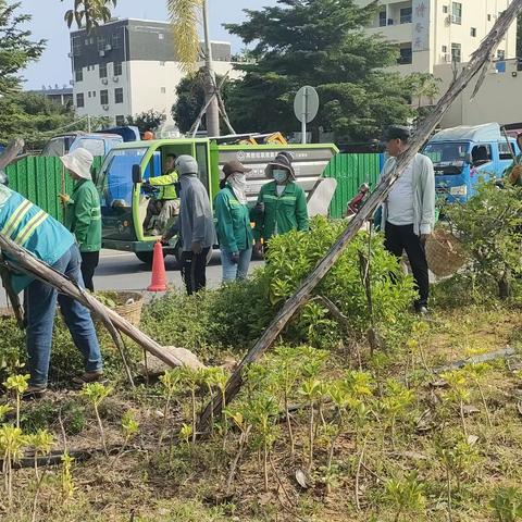 马岭黑龙北街环境综合整治