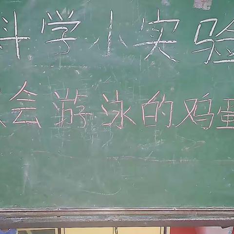 河涯幼儿园中二班科学小实验:《会游泳的鸡蛋》，带领孩子们探索科学的神奇！😊