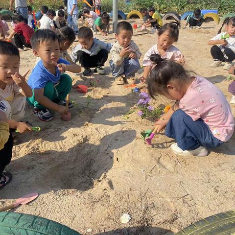 郭家屯镇葫芦寺幼儿园小班一周活动