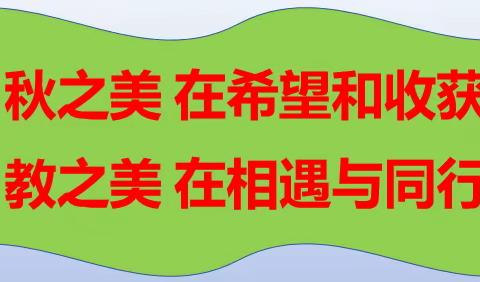 熠熠“新”光 ，灼灼其华——记宜阳街道中心学新进教师汇报课风采展示