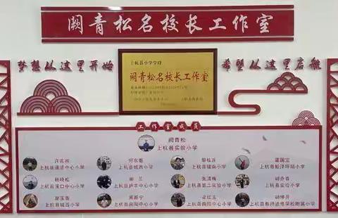 专家引领促成长  共研共修展未来